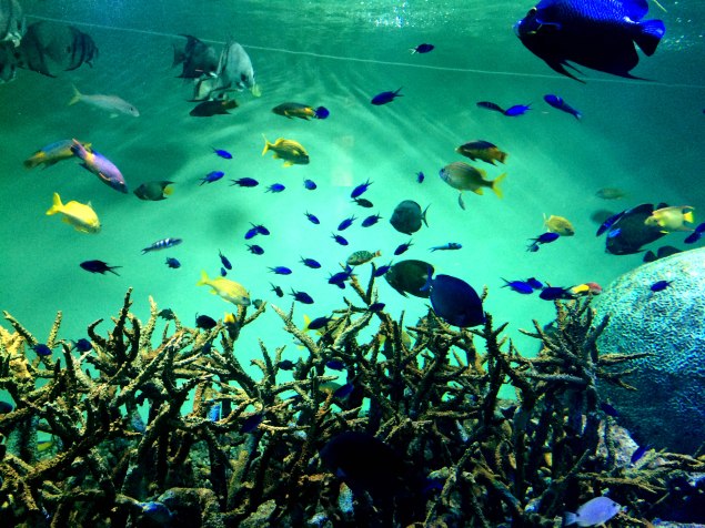 Tokyo Sea Life Park
