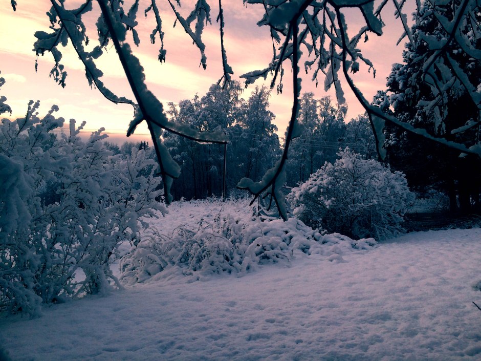 Winter Evening in Finland