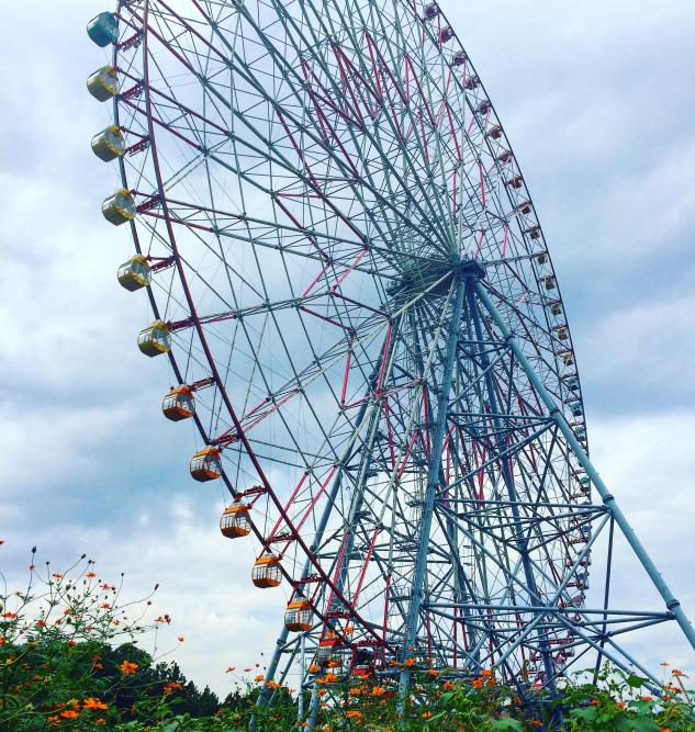 Colorful Ferris wheel flower field