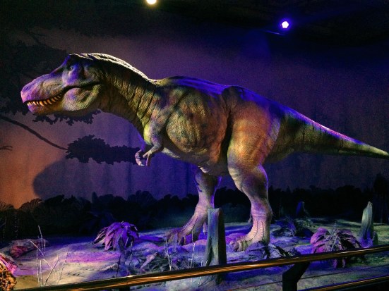 Natural History Museum London