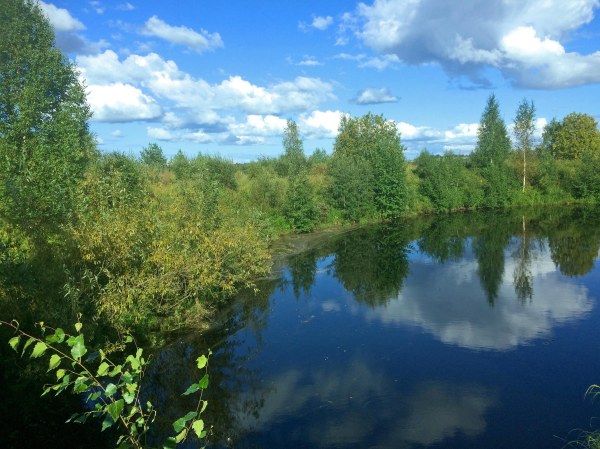 Finland summer, lake, forest, blue sky