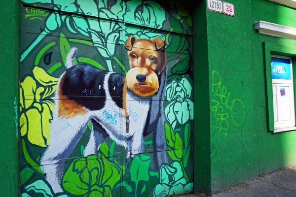 Travel Blog: Dog graffiti in Bratislava